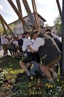 These poles support the Maibaum as it is being raised into position in Putzbrunn, Germany.