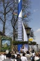 The victory of the raising of the Maibaum is finally completed in Putzbrunn, Germany.
