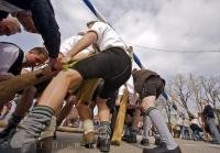 An action shot of the mean raising the Maibaum during the Maibaumfest in Putzbrunn, Germany.