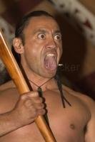 Stock Photo of a maori warrior in New Zealand