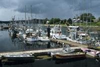 Situated at the northern end of Graham Island on the Queen Charlotte Islands in BC, Masset has the largest population of Haida Gwaii.