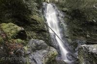 The Merriman Creek situated onthe Olympic Peninsula of Washington, plunges 40 feet over the verge of the falls in the form of a horsetail. 