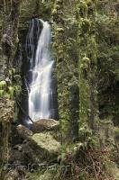 The pristine Merriman Creek plunges 40 feet over the falls before continuing its journey through the rainforest on the Olympic Peninsula in Washington.