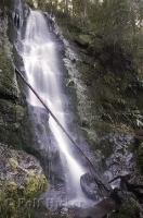A beautiful waterfall and easily accessible from the road is Merriman Falls along South Shore Road near Quinault Lake in Washington, USA.