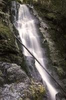 The picturesque Merriman Falls are situated along the South Shore Road near Lake Quinault on the Olympic Peninsula of Washington, USA.