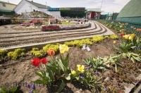 An interesting tourist attraction in the town of Nanton Alberta is the Big Sky Garden Railway, a miniature train model set in pretty gardens.