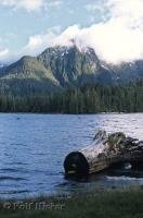 Although The Queen Charlotte Islands in BC, Canada are made up of more than 150 islands, the main two are Graham Island and Moresby Island.