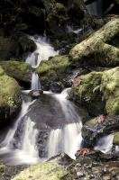 The constant moving water from the Merriman Fall waterfall in the Olympic National Park of Washington, USA.
