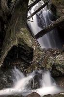 One of the natural waterfalls situated in the Olympic National Park of Washington, USA.