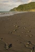 The East Cape is an ideal beach holiday destination in New Zealand.