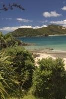 New Zealand Climate tourist information