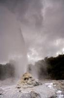 The Lady Knox Geyser at the Waiotapu Scenic Reserve in New Zealand erupts on a daily basis.