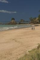 Photo of a typical New Zealand Northland beach in Tauranga Bay on the nothern part of the North Island.