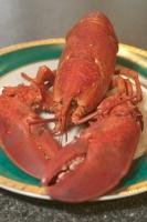 Although usually a grey color, a lobster turns red when cooked.