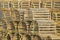 Stock photo of a pile of real Lobster traps