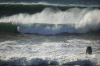 A stunning photo of an ocean roller seen from Ecola State Park in Oregon, USA.