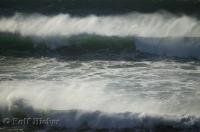 A stunning display of an ocean roller seen from Ecola State Park along the Oregon Coast, USA.