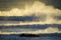 The spray from an ocean wave glows during sunset at Oceanside Beach in Oregon, USA.