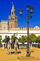 The city of Seville in Andalusia, Spain, is partly patrolled by policemen on horseback as seen here in the courtyard of the Reales Acazares.