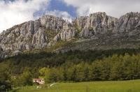 The small village of Andon perches upon the lush green hills in the Provence, France in Europe.