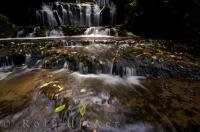 The Purakaunui Falls are a vision of beauty in Otago on the East Coast of the South Island of New Zealand.