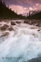 The pure water in the Rocky Mountains of Alberta and British Columbia, flows from thawing snow in the mountains and glacier fields.