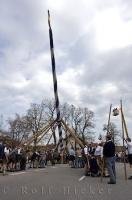 The May Tree in Putzbrunn, Germany at the Maibaumfest is almost completely raised.