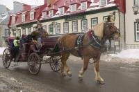 Horse drawn buggy rides through the streets of Quebec City is a great way to get around on a cold winter day.