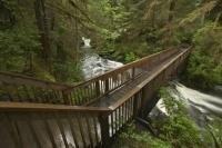 Stock photo of a bridge over a river in the rainforest of southeast Alaska