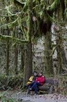 While spending your vacations in Washington, USA, be sure to visit the Hoh Rainforest on the Olympic Peninsula.