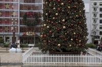 A Christmas tree picture situated in the downtown core of San Francisco in California, USA that makes the spirit of Christmas alive.