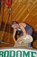 A trained sheep shearer gives a shearing demonstration at the Agrodome in Rotorua on the North Island of New Zealand.
