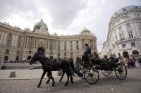 A beautiful way to do some sightseeing in Vienna, Austria is to book one of the tours aboard the horse and buggy rides.