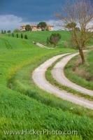 A single lane dirt road meanders across the country landscape in Tuscany in the Province of Siena in the Region of Tuscany, Italy.