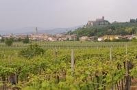 Soave Castle on a hill above the vineyards of Soave in the Veneto region of Verona, Italy in Europe.