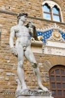 The statue of David stands outside the Palazzo Vecchio in Piazza della Signoria in the City of Florence in the Region of Tuscany, Italy.