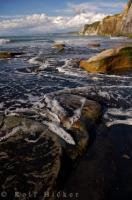 The North Taranaki Bight in New Zealand is made up of the beautiful White Cliffs and amazing beach that stretches along the coastline.