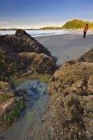 An easily accessible beach from the town of Tofino on the West Coast of Vancouver Island, Tonquin Beach which is a small sandy stretch of shoreline, features occasional rocky outcrops such as this with a tide pool full of sea life.