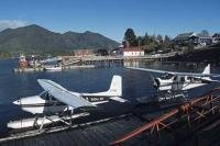 The harbour in Tofino is a hive of activity duing the summer months with floatplanes, leisure and fishing boats, and tours coming and going.