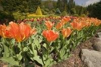 The Cullen Gardens and Miniature Village are situated in Whitby, Ontario and are a great travel destination in Canada.