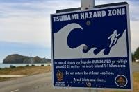 A Tsunami warning sign stands along the waterfront of Castlepoint in Wairarapa on the North Island of New Zealand.