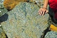 A slab of ultramafic rock called Peridotite lays exposed to the elements along the Tablelands trail in Gros Morne National Park, Newfoundland.