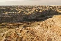 Dinosaur Provincial Park is an interesting travel destination in Alberta, Canada and was established as a UNESCO World Heritage Site in June 1980.