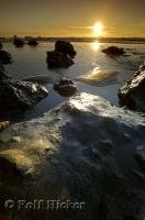 Sunset along the rugged Pacific Ocean coast on the Olympic Peninsula of Washington, USA.