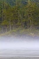 A band of fog blurs the waterline along the forested coastline of British Columbia, adding an air of mystery.