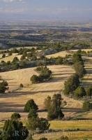 Desert countryside across Zaragoza, Aragon in Spain, Europe is home to many fields of wheat.