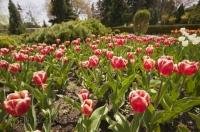 The Cullen Gardens and Miniature Village are a recommended sightseeing option during a vacation in Whitby, Ontario.