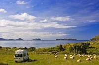 Located in a remote location on the outskirts of the Marlborough Sounds, the Titirangi Bay Campground offers true wilderness camping, surrounded by sheep and stunning ocean views.