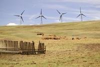 Windmills creating wind power for a cleaner environment in Southern Alberta Canada