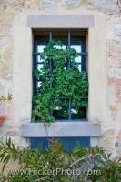 The Plants and Window Bars filling this window in the city of Volterra in Tuscany, Italy ensures privacy for the house owner.